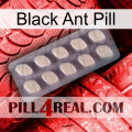 Black Ant Pill 08